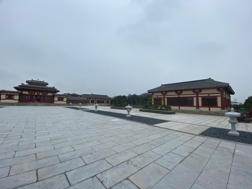 洛陽古代藝術(shù)博物館|紅外探測器