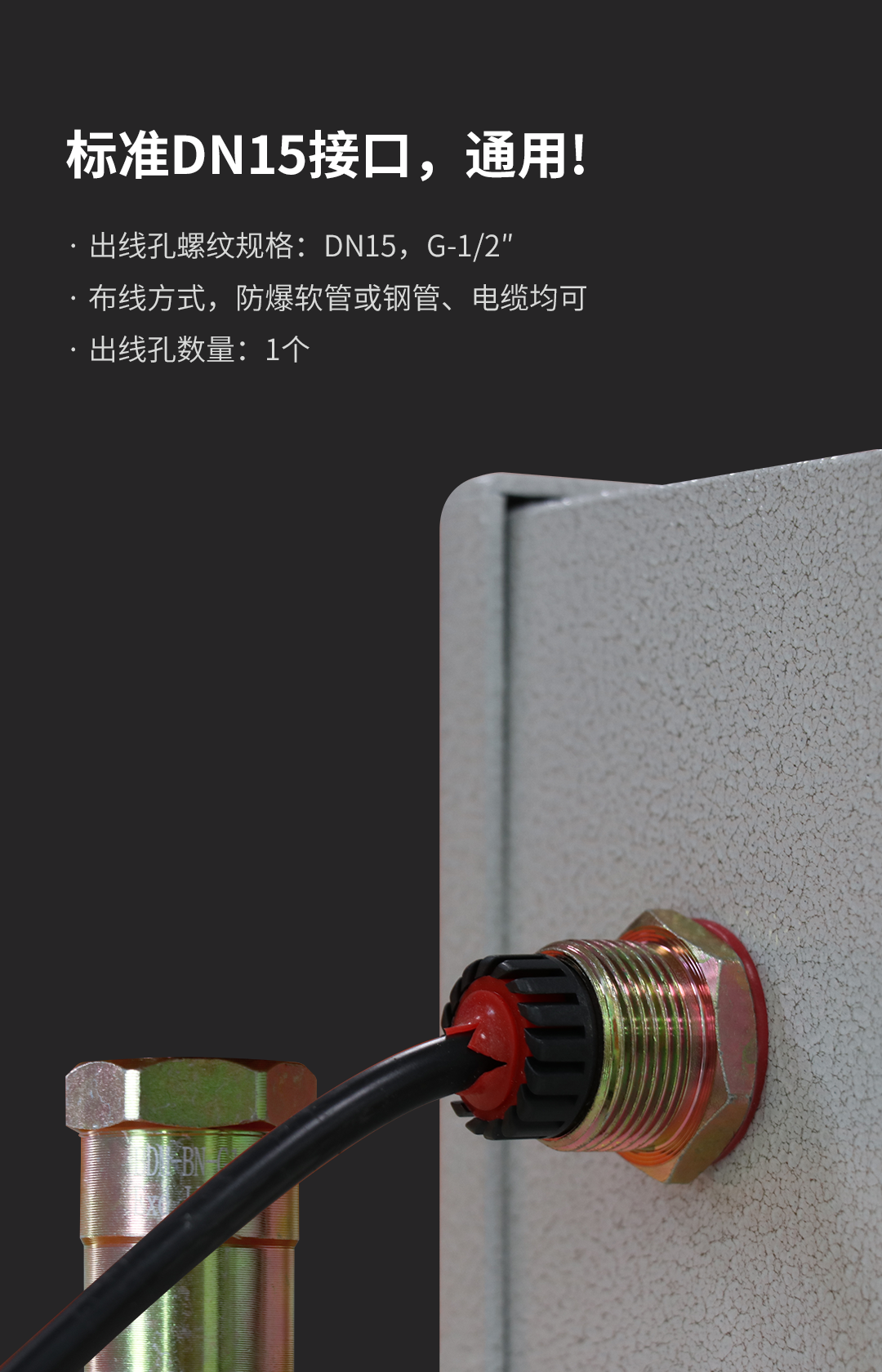 Ex系列防爆紅外探測器
