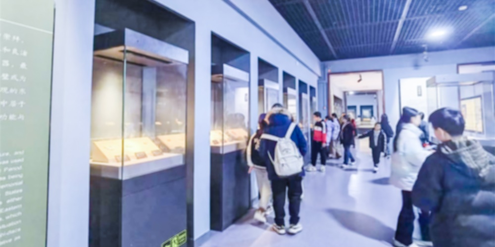 博物館周界激光入侵探測報警方案 博物館周界激光入侵探測報警方案